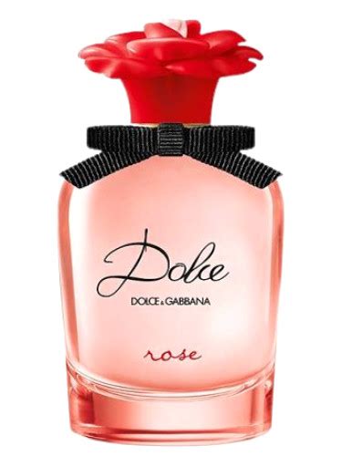 dolce gabbana rose collection|dolce and gabbana latest news.